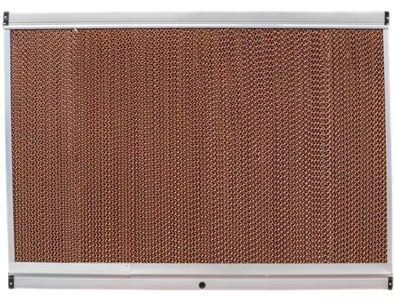 f46b747bc2663c62f83c67a860dca81_看图王